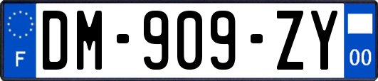 DM-909-ZY