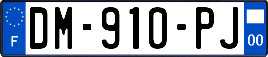 DM-910-PJ
