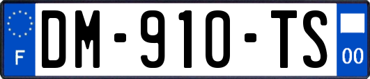 DM-910-TS