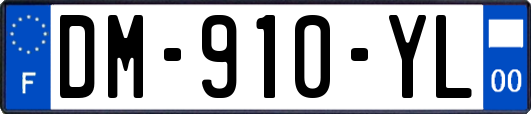 DM-910-YL