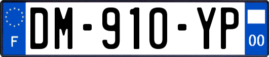 DM-910-YP