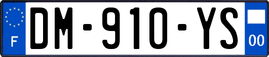 DM-910-YS