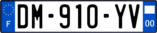 DM-910-YV