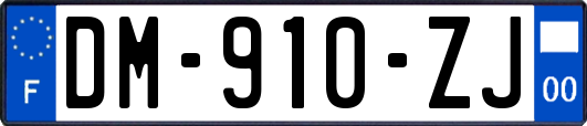 DM-910-ZJ