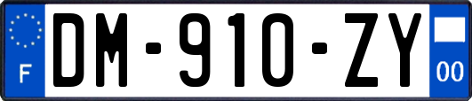 DM-910-ZY