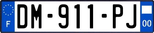 DM-911-PJ
