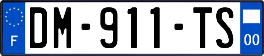 DM-911-TS