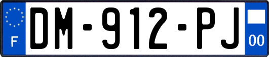 DM-912-PJ