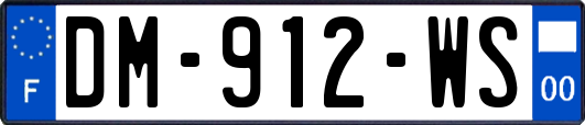 DM-912-WS