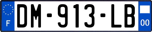 DM-913-LB