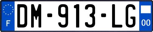 DM-913-LG