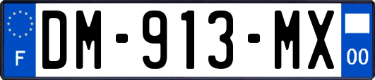 DM-913-MX
