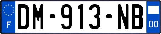 DM-913-NB