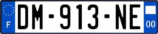 DM-913-NE