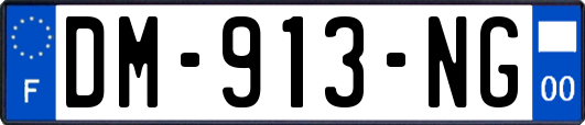 DM-913-NG