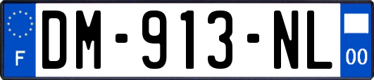 DM-913-NL