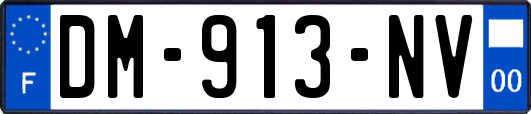 DM-913-NV