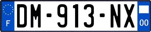 DM-913-NX