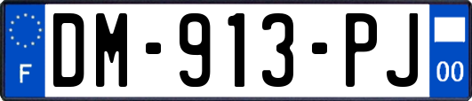 DM-913-PJ