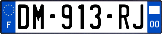 DM-913-RJ