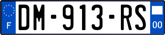 DM-913-RS