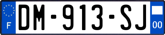 DM-913-SJ