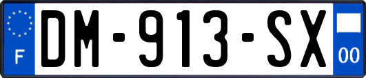 DM-913-SX