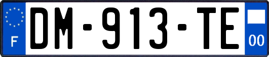 DM-913-TE