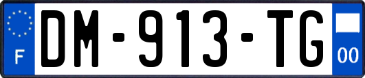 DM-913-TG