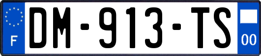 DM-913-TS