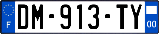 DM-913-TY