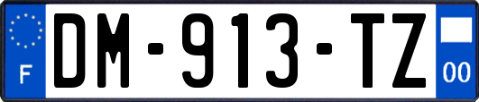 DM-913-TZ