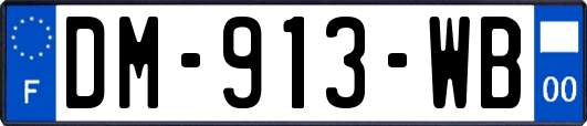 DM-913-WB