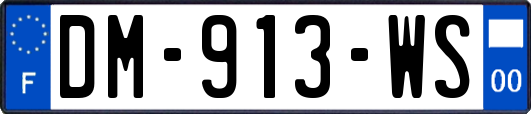 DM-913-WS