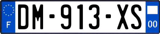 DM-913-XS