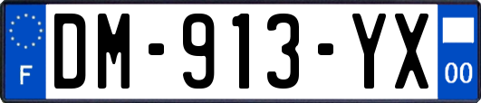 DM-913-YX