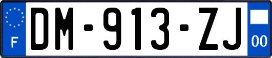 DM-913-ZJ