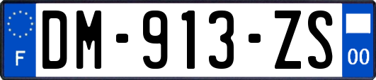 DM-913-ZS