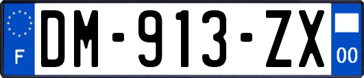 DM-913-ZX