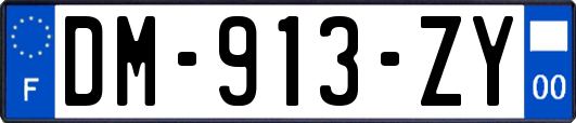 DM-913-ZY