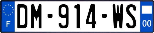 DM-914-WS