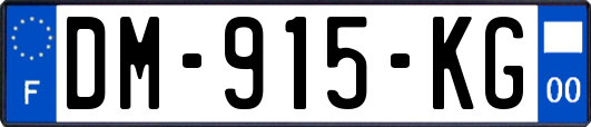DM-915-KG