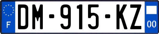 DM-915-KZ