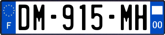DM-915-MH