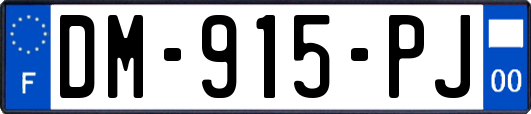 DM-915-PJ