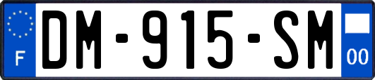 DM-915-SM