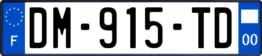 DM-915-TD