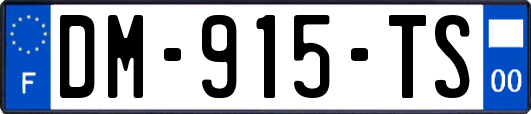 DM-915-TS