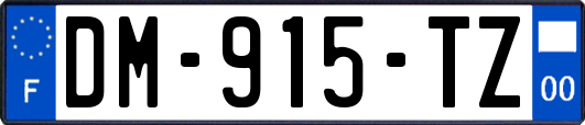 DM-915-TZ