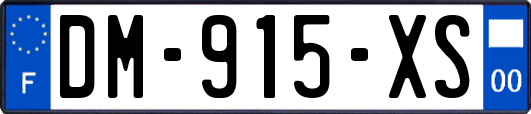 DM-915-XS